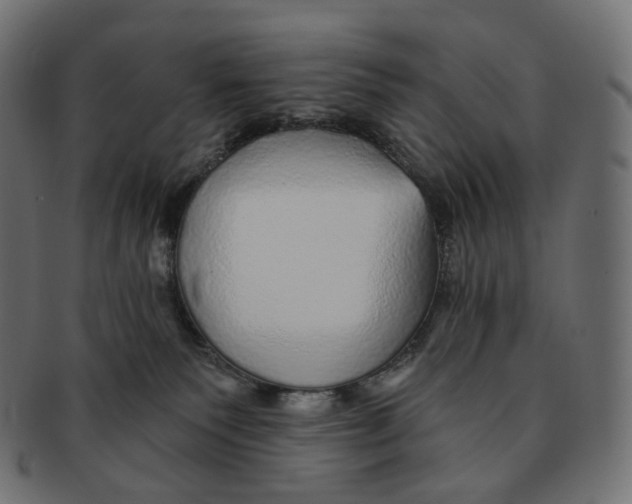 X0000091720135200709211008