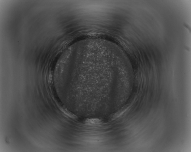 X0000091720137200709211008