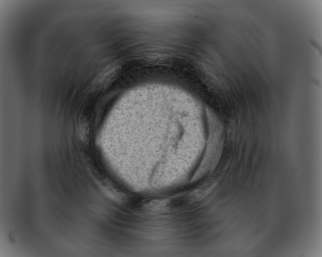 X0000091720138200709211008