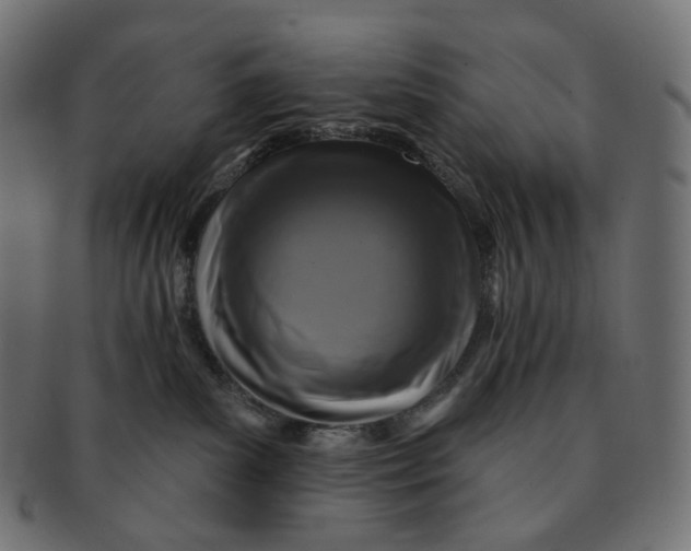 X0000091720139200709211008