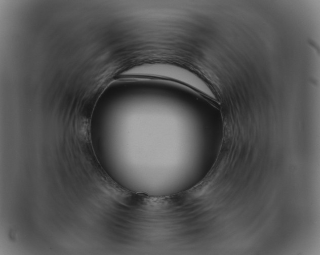 X0000091720141200709211008