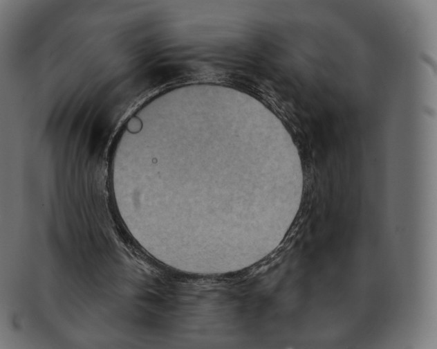 X0000091720146200709211007