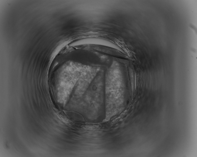 X0000091720147200709211007