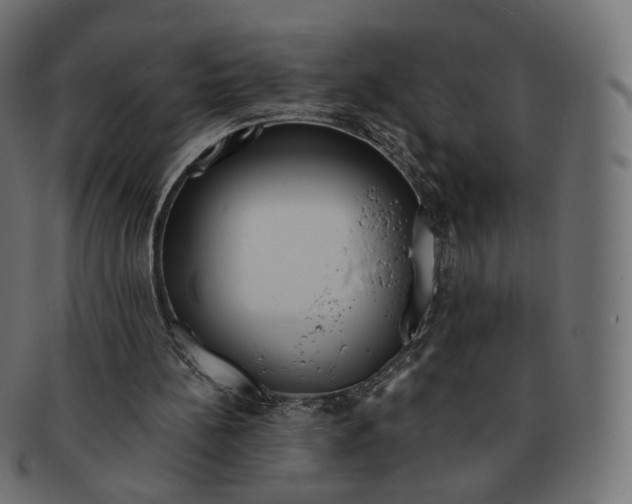 X0000091720148200709211008