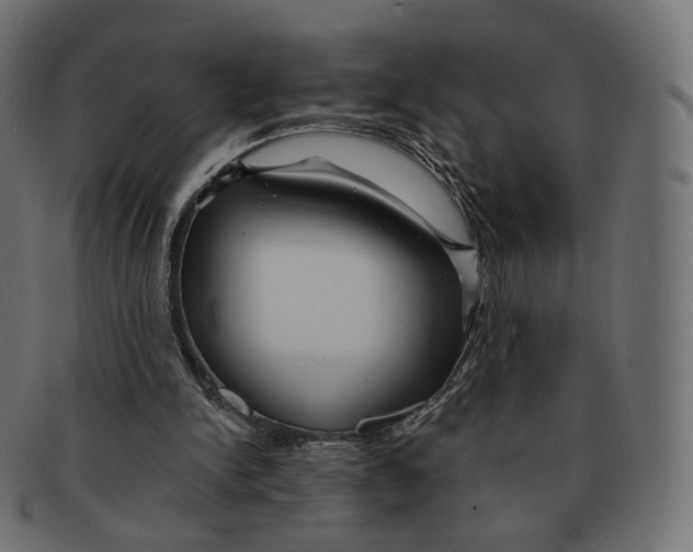 X0000091720150200709211008