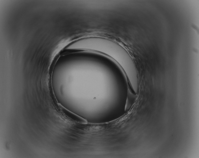 X0000091720152200709211008