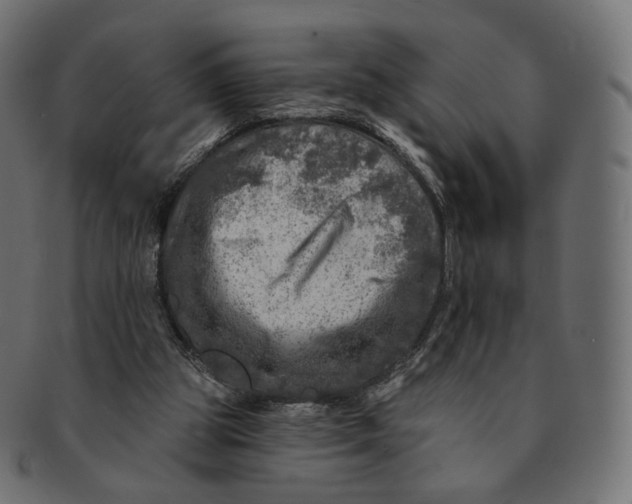 X0000091720153200709211008