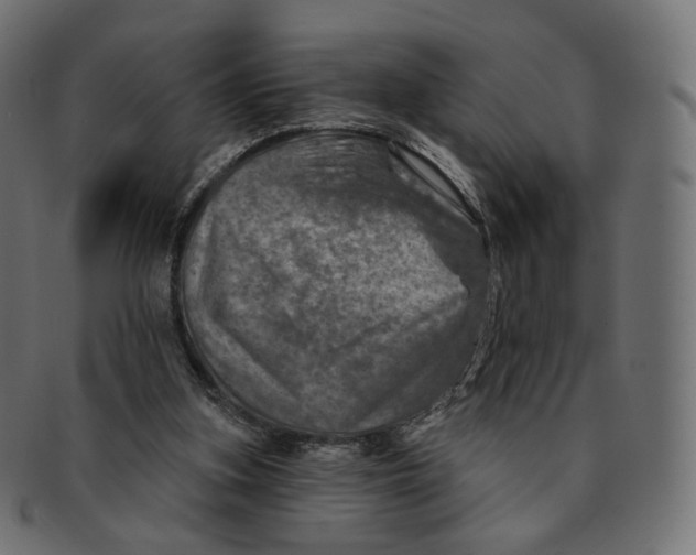 X0000091720155200709211008