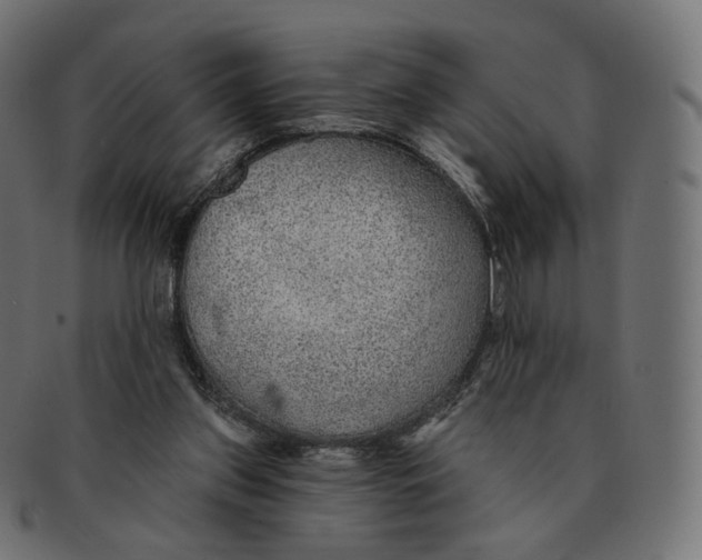 X0000091720157200709211008