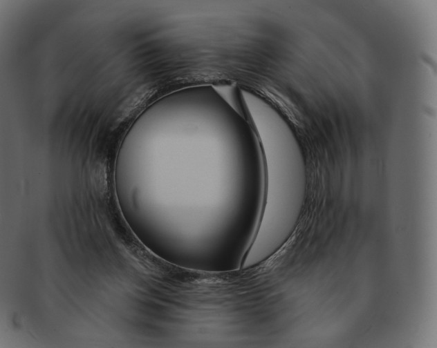 X0000091720158200709211008