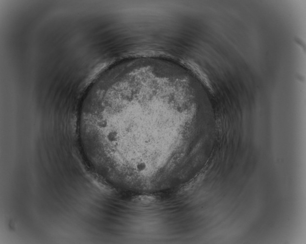 X0000091720159200709211008