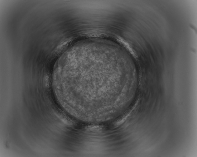 X0000091720161200709211008