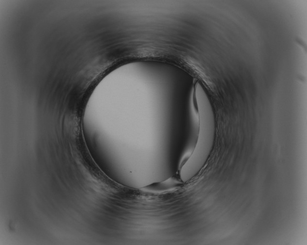 X0000091720164200709211008