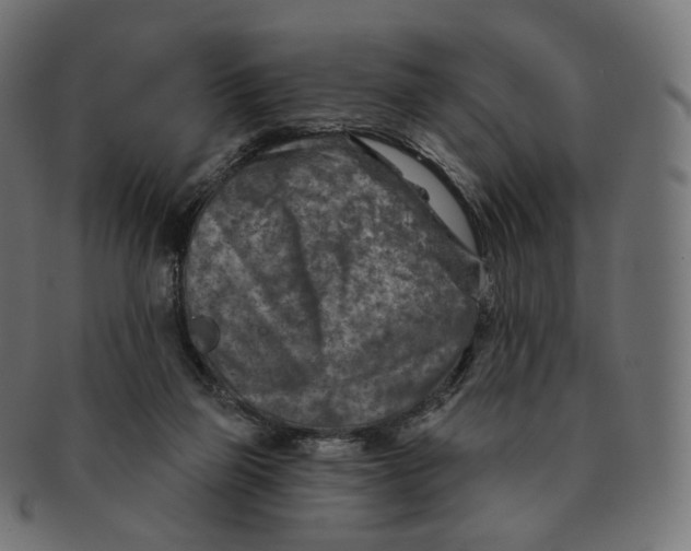 X0000091720165200709211008