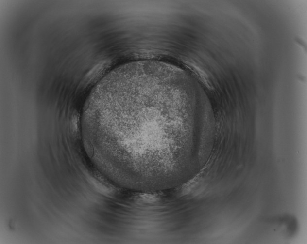 X0000091720166200709211008