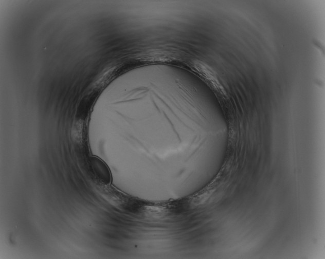 X0000091720167200709211008