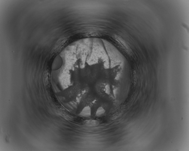 X0000091720169200709211008