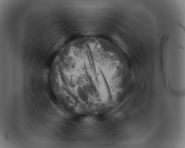 X0000091720171200709211008