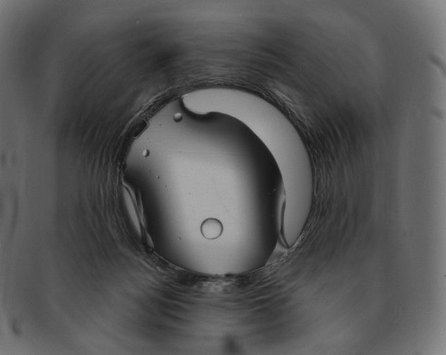 X0000091720172200709211008