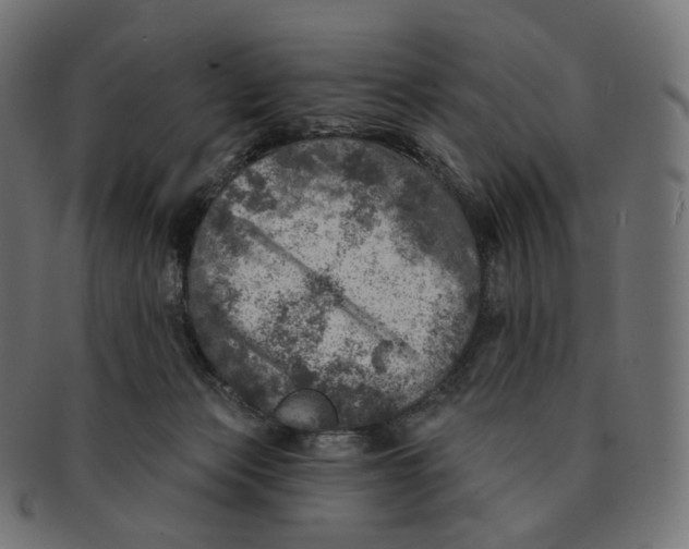 X0000091720173200709211008