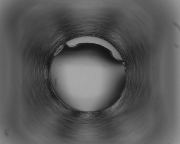 X0000091720174200709211008