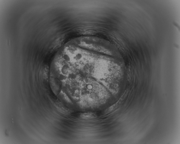 X0000091720175200709211008