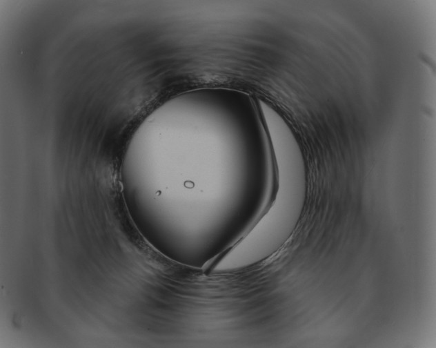 X0000091720176200709211008