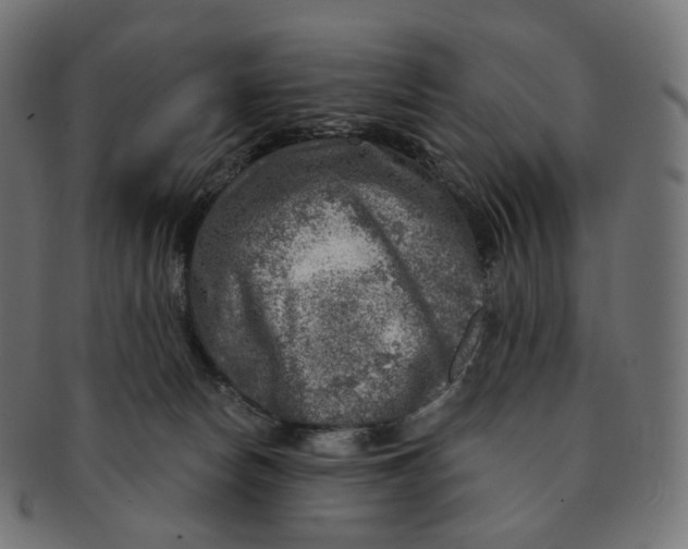 X0000091720178200709211008