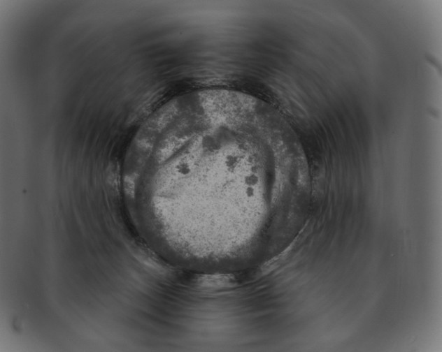 X0000091720179200709211008