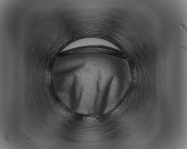 X0000091720180200709211008