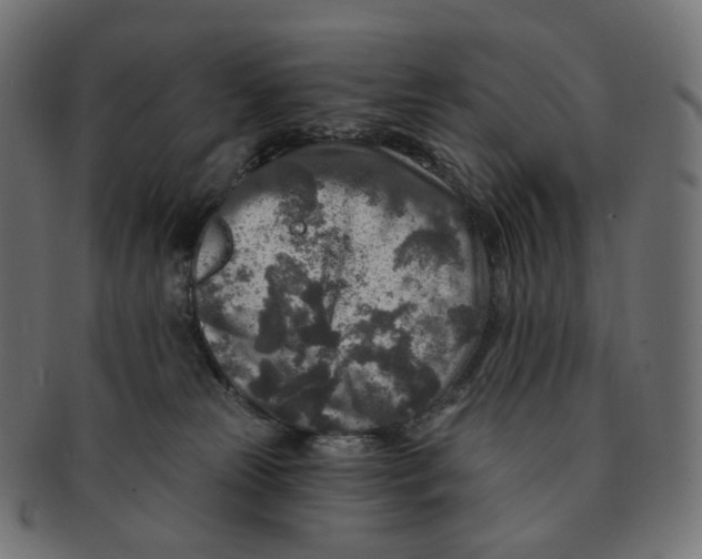 X0000091720181200709211008