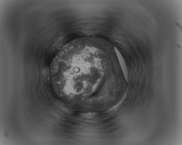 X0000091720182200709211008