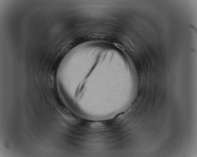 X0000091720183200709211008