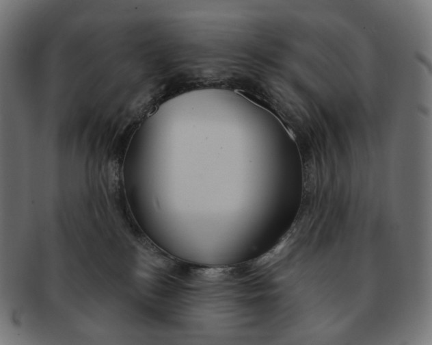 X0000091720184200709211008