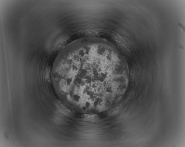 X0000091720185200709211008