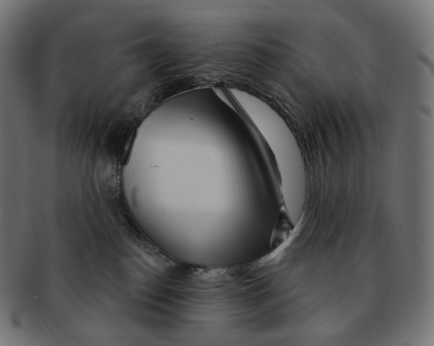 X0000091720186200709211008