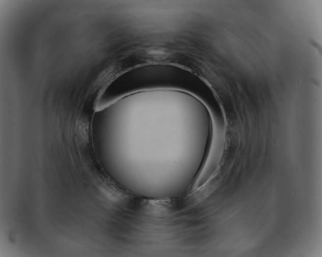 X0000091720188200709211008