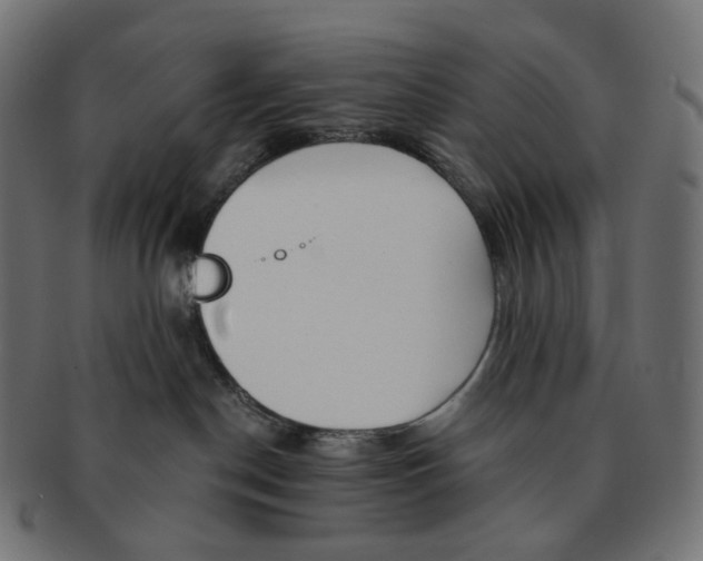 X0000091720190200709211008