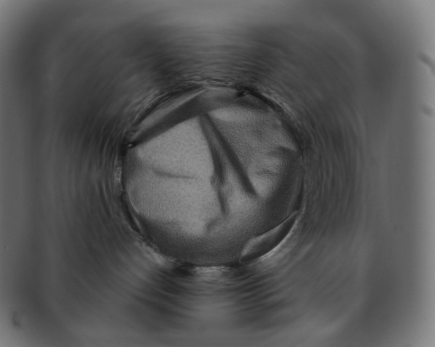 X0000091720192200709211008