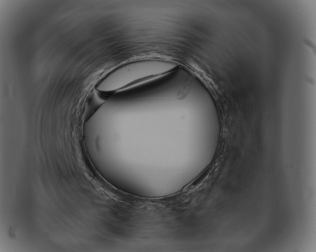 X0000091720193200709211007