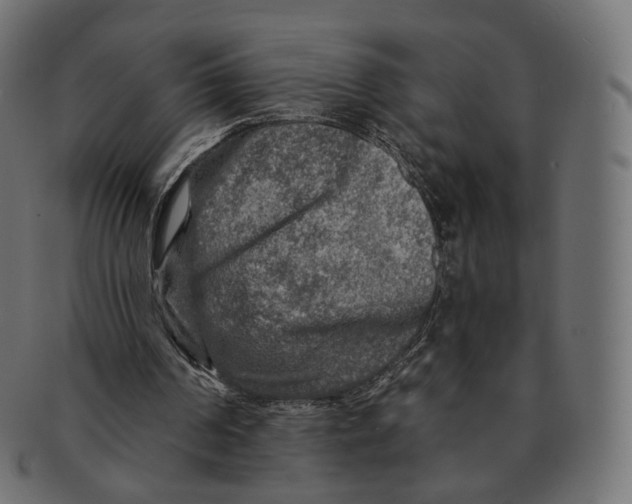 X0000091720194200709211007