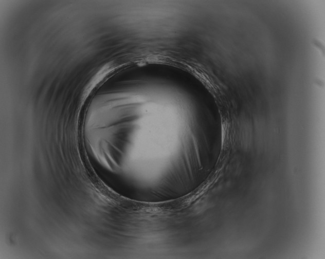 X0000091720195200709211007