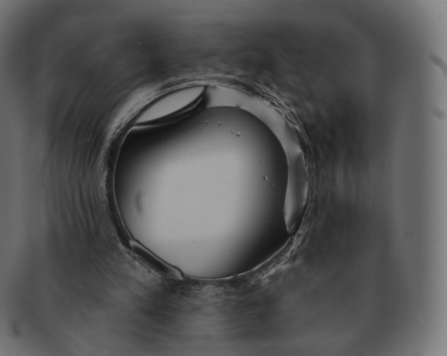 X0000091720197200709211007