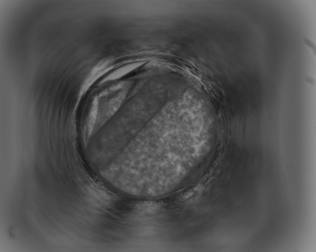 X0000091720198200709211007