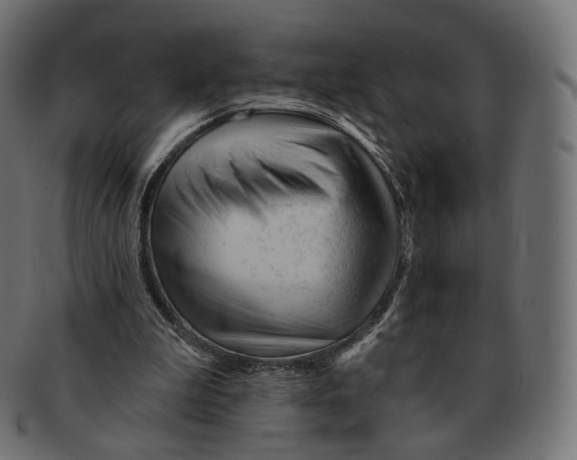 X0000091720199200709211007