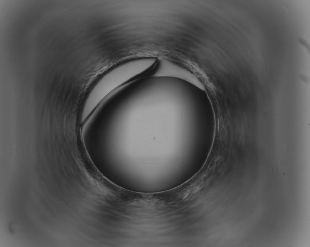 X0000091720201200709211007