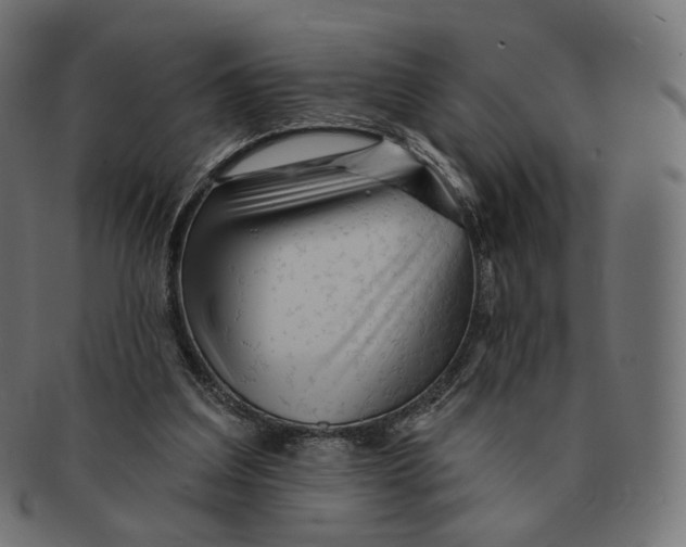 X0000091720203200709211007