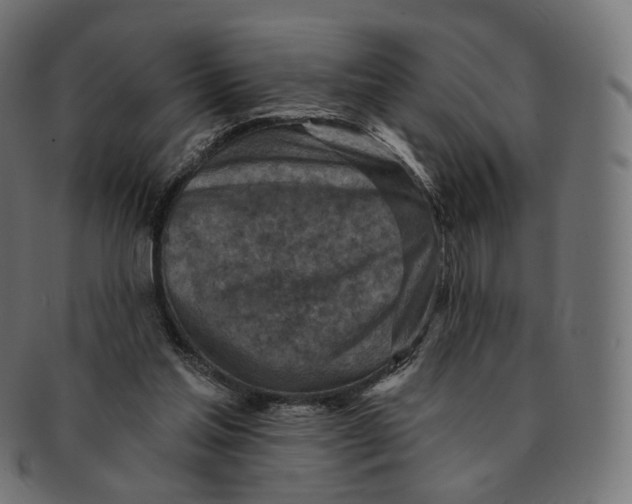 X0000091720205200709211007