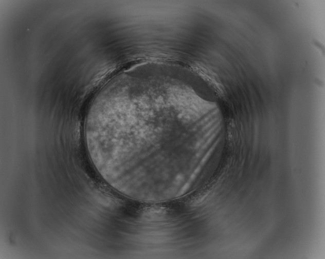 X0000091720206200709211007