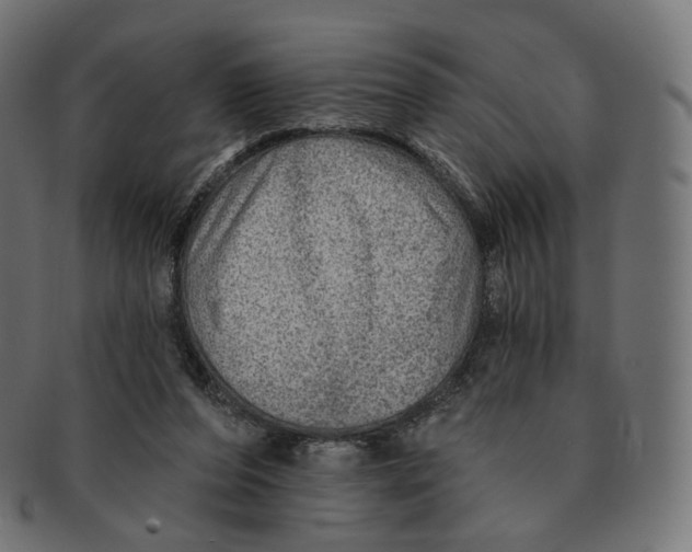 X0000091720208200709211007